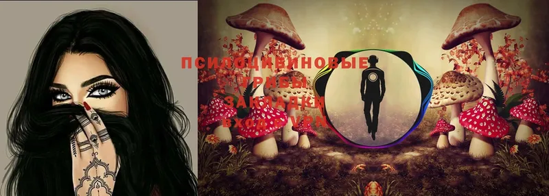 наркотики  Балахна  Галлюциногенные грибы MAGIC MUSHROOMS 